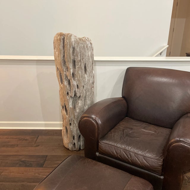 Exquisite Great Lakes natural driftwood sculpture that was harvested from the blustery shores of Lake Michigan in the fall...