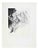 Udo Scheel, Autumn, 1972, Etching For Sale