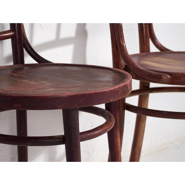 1920s Colored Chairs from Thonet, 1920s, Set of 4 For Sale - Image 5 of 17