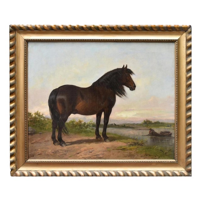Flemish Artist, Equestrian Horse, 19th Century, Oil Painting on Canvas For Sale