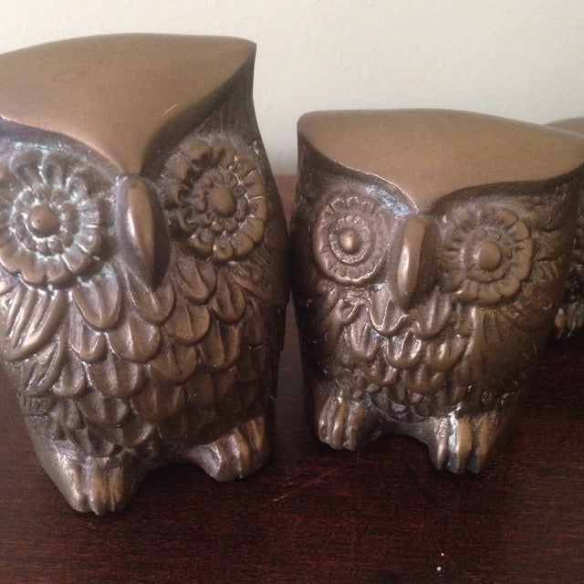Vintage Brass Owl Figurines Set of 3 Chairish