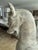 Late 20th Century Monumental Carved Wooden Horse on Plinth For Sale In Miami - Image 6 of 12