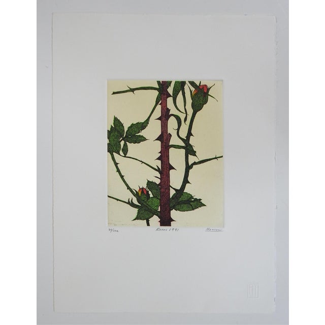 English 1991 Rose Thorns Colored Etching For Sale - Image 3 of 3