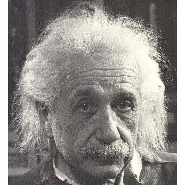 1981 Philippe Halsman 'Einstein' Photography Offset Lithograph For Sale - Image 4 of 5