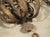 Set of Four Vintage French 3-Arm Iron and Tole Sconces, Distressed Gilt Finish For Sale - Image 4 of 18