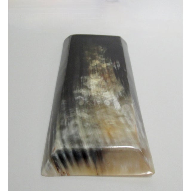 Bone Hand-Honed & Carved Rectangular-Shaped Horn Display Dish or Catchall Bowl For Sale - Image 7 of 7