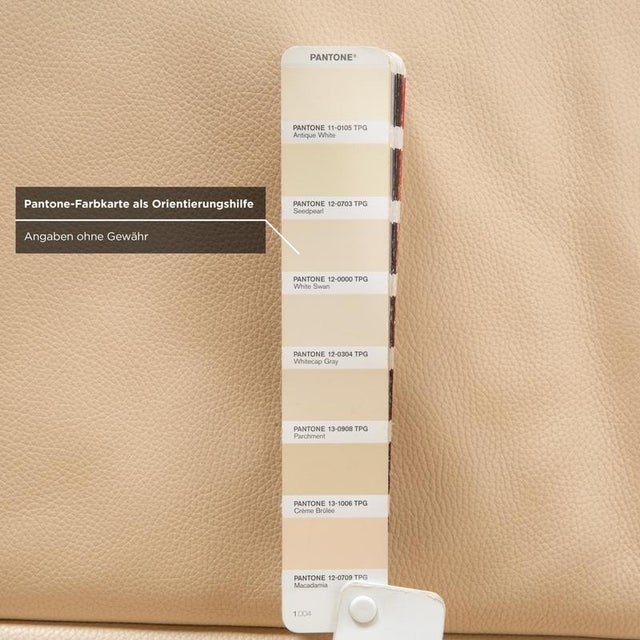 Cream DS-450 Two-Seater Sofa in Leather from de Sede For Sale - Image 8 of 13