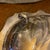 Metal Vintage Poole Silver Co Old English Large Footed Shell Dish Griffin Crest For Sale - Image 7 of 11