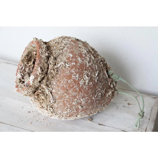 19th Century 19th Century Terracotta Octopus Trap Vase For Sale - Image 5 of 12