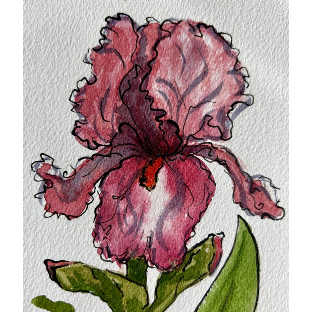 Giclee Print of Watercolor Ink and Wash Painting “Pink Iris” For Sale - Image 4 of 10