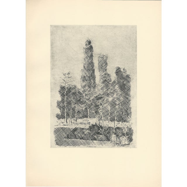Giorgio Morandi, Poplars, 1930-1957, Lithograph For Sale