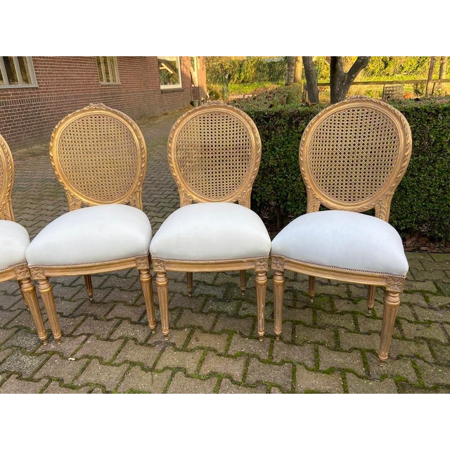 French 1970s French Artisan Louis XVI Gold Beech Cane Dining Chairs-Set of 4 Pc For Sale - Image 3 of 18