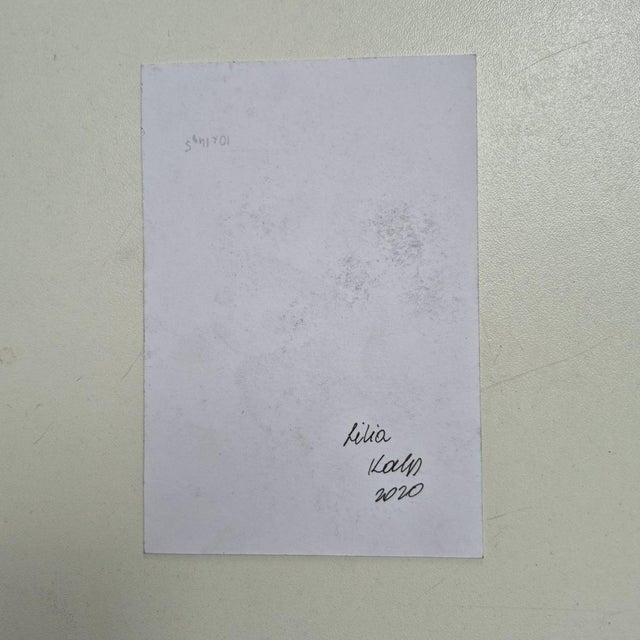 Aleksandra Kalisz, Lily, 2020, Pencil on Paper, in Flawless conditions. Designed from 2000 This piece has an attribution...