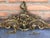 Baroque 20th Century French Bronze Wall-Mounted Coat Rack For Sale - Image 3 of 18