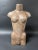 Wood Late 19th Century Carved Large Solid Wood Paper Mache Mold Female Torso Sculpture For Sale - Image 7 of 7