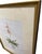 Wood Vintage Framed Botanical Pink Orchid Print in Chinoiserie Cachepot For Sale - Image 7 of 12