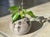Beige Glossy Glazed Studio Ceramic Vase with Olive-Green Splashes from Serocka, Germany, 1970s For Sale - Image 6 of 9