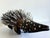 Wood Australian Aboriginal Wood Sculpture with Ochre Echidna Bob Burruwal For Sale - Image 7 of 13