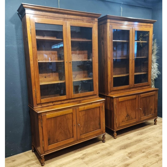 Walnut Bookcases, 1840s, Set of 2 For Sale - Image 4 of 14