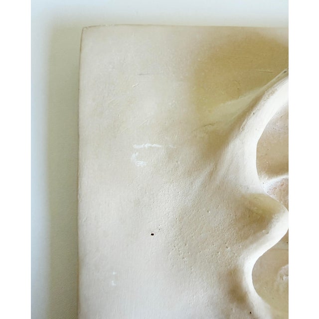 Sculpture Materials Vintage Plaster Relief of Ear For Sale - Image 7 of 9