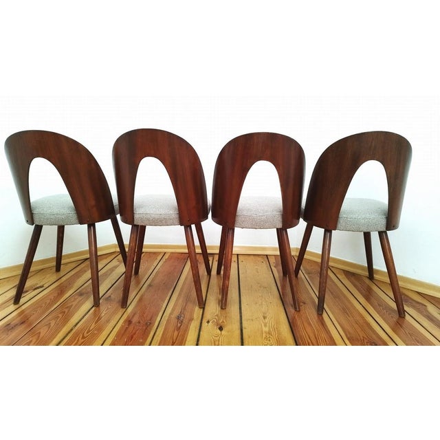 Wood Dining Chairs by A. Suman for Tatra Nabytok, Former Czechoslovakia, 1960s, Set of 4 For Sale - Image 7 of 18