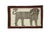 Hand-Knotted Gabbeh Nomad Rug For Sale - Image 9 of 9