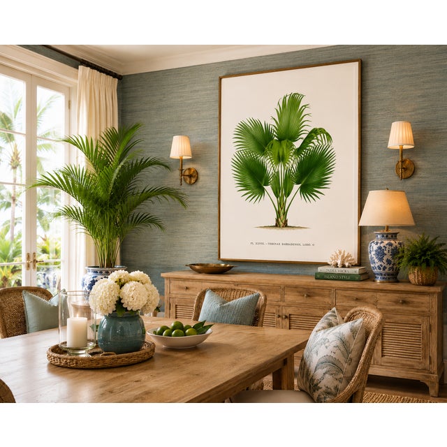 Fan Palm Botanical Study, Vintage Art Print Reproduction, 20" X 30" For Sale In Buffalo - Image 6 of 12
