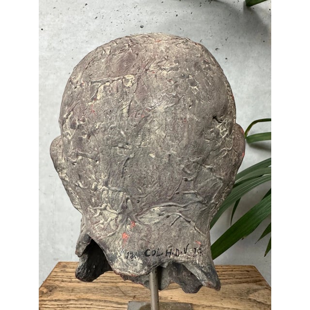 Gray Terracotta Sculpture Head For Sale - Image 8 of 11