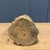 Wooden Carved Head of a Man with a Beard, 1950s For Sale - Image 11 of 12