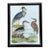 Vintage Audubon Print of Three Birds For Sale