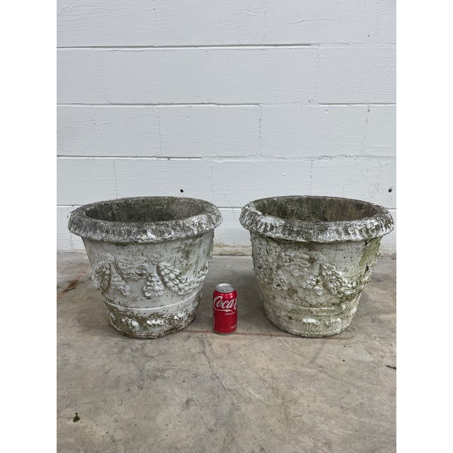 19th Century French Neoclassical Round Planters - Set of 2 For Sale - Image 4 of 10