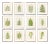 Reproduction Antique Fern Botanical Unframed Prints - Set of 12 For Sale