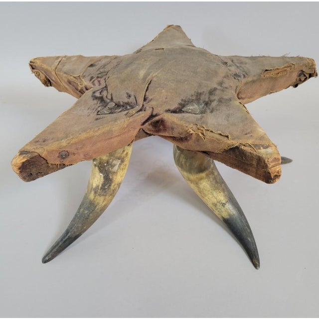 Wood American Folk Art Star Pincushion on Mounted Cattle Horn Base, Early 20th Century For Sale - Image 7 of 9