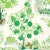 Contemporary Schumacher Citrus Garden Indoor/Outdoor Fabric in Leaf For Sale - Image 3 of 4