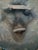 French Vintage Lion Head Cast Metal Door Knocker With Antique Patina For Sale - Image 3 of 7