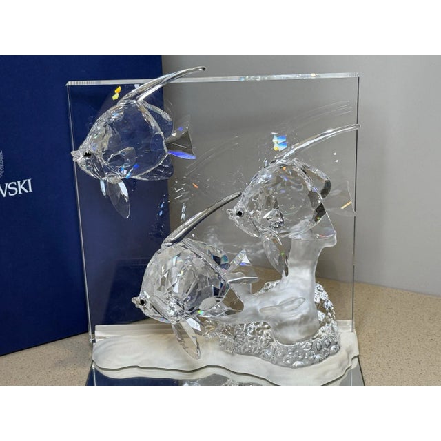 Glass Swarovski Wonders of the Sea Community 2007 Crystal Angelfish SCS W/ Box & Coa For Sale - Image 7 of 7