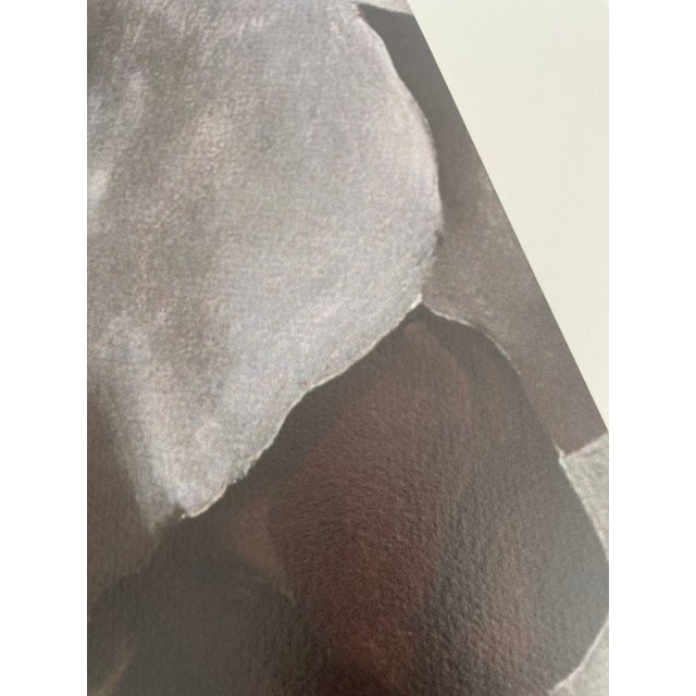 Georgia O’Keeffe (1887-1986), Dark Iris I, 1927, Copyright 1999- G.O’Keeffe/SOFAM Belgique Editions Pierre D’ Harville, Printed in Italy For Sale - Image 9 of 9