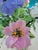Mid 20th Century Vintage Asian Glass Arrangement For Sale - Image 5 of 11