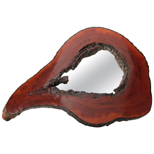 Cypress Tree Biomorphic Form Wall Mirror For Sale - Image 10 of 10
