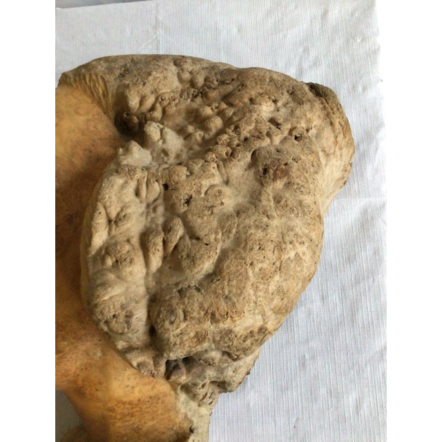 1960s 1960s Burl Wood Carving of A Woman's Face For Sale - Image 5 of 9