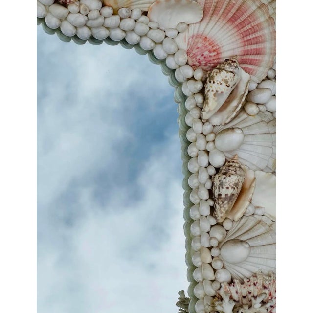 1970s Miami Beach Monumental Coastal Seashell Mirror For Sale - Image 9 of 10