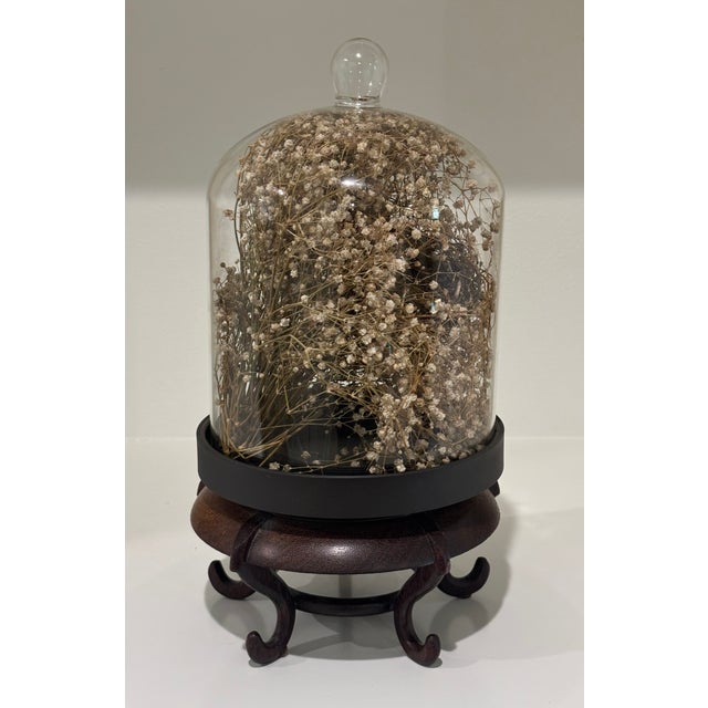 Cabinet of Curiosities Glass Cloche With Bird’s Nest Wrapped in Dried Gypsophila on Decorative Asian Wooden Stand For Sale - Image 15 of 15