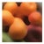 Kirill Chudinskiy, Fruit of Memory, Metal Print For Sale