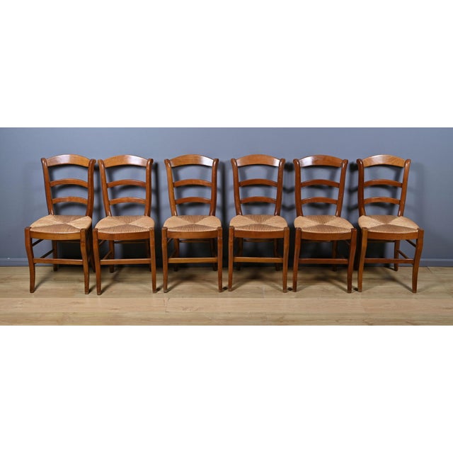 1950s Vintage Cherrywood Straw Chairs, 1950s, Set of 6 For Sale - Image 5 of 18