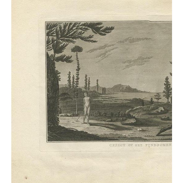 J. Cook, Pine Tree Island, 1803, Print For Sale - Image 3 of 5