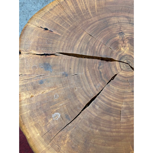 Wood Organic Modern Live Edge Tree Side Table/Stool For Sale - Image 7 of 12