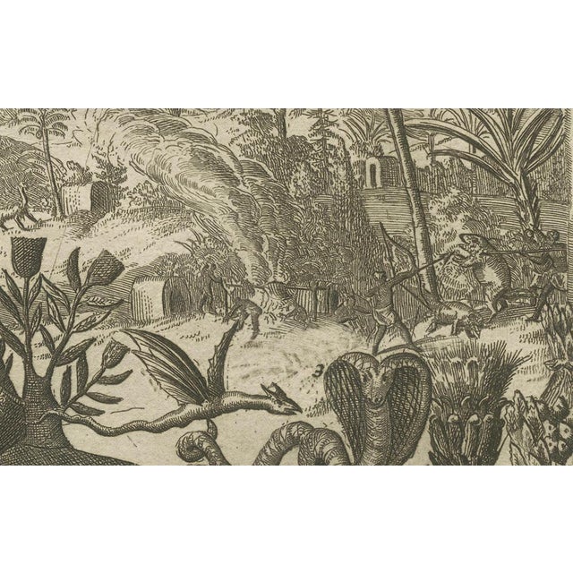 Paper R. De Hooghe, The Diverse Fauna of the Indies, Paper For Sale - Image 7 of 8