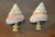 Nature’s beauty pair if polished turbo sea shells mounted on brass bases lamp finials.