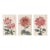 Red Chrysanthemum Triptych, Vintage Japanese Botanical Art Prints (Set of 3), 16" X 24" For Sale