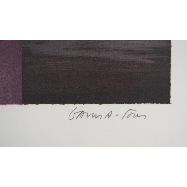 Pierre Garcia-Fons, Reflection in the Mirror, Lithograph For Sale - Image 6 of 7